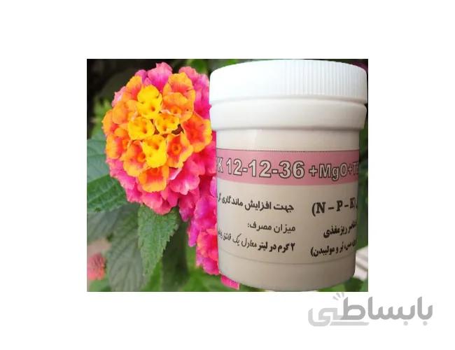 کود کامل 36 12 12 زیگلر المان