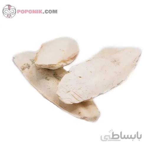 کف دریا