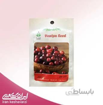 بذر میوه کرن بری cranberry