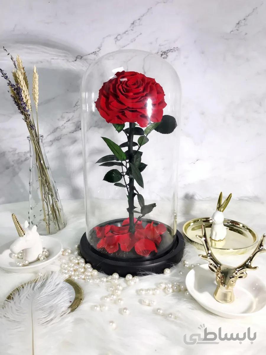 باکس استوانه شیشه ای گل رز جاودان قرمز