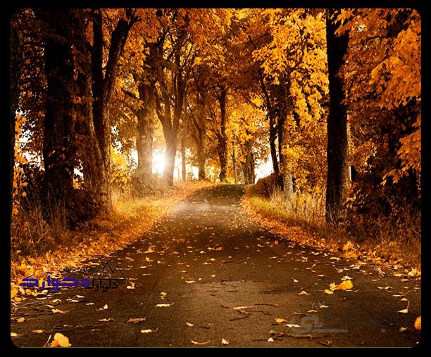 پوستر طبیعت 001