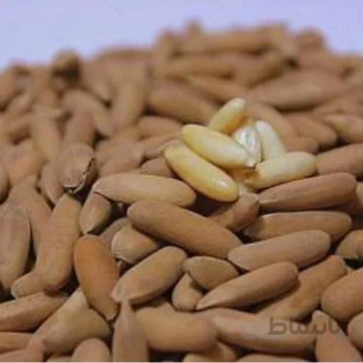 تخمه چلغوز دانه صنوبر 1000گرمی آرسکا