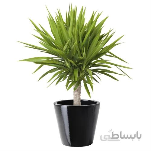 یوکا سطل 7