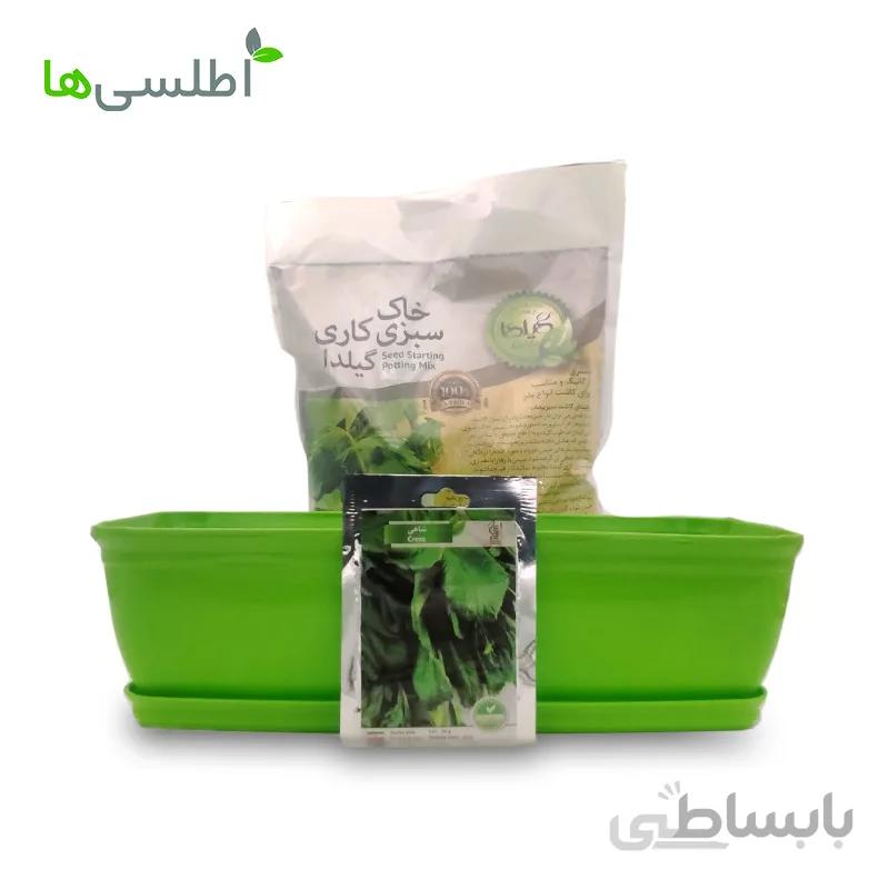 پکیج شاهی