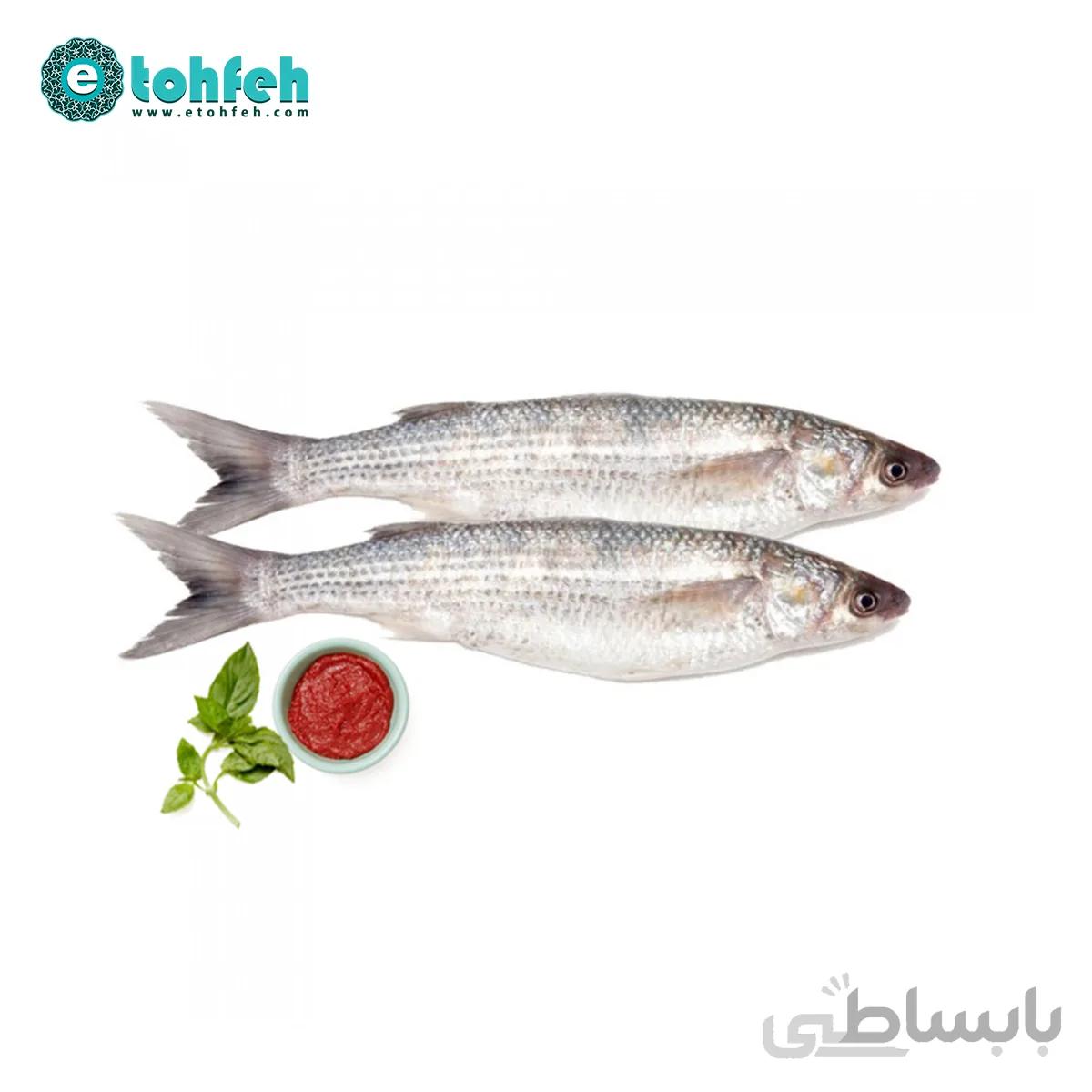 ماهی گاریز