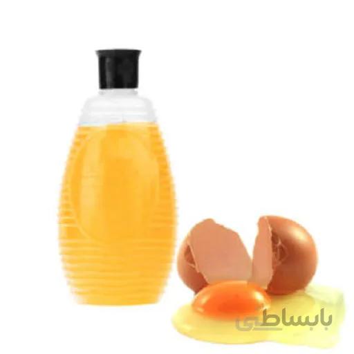 شامپو خمره ای هوم رکس بسته 48 عددی