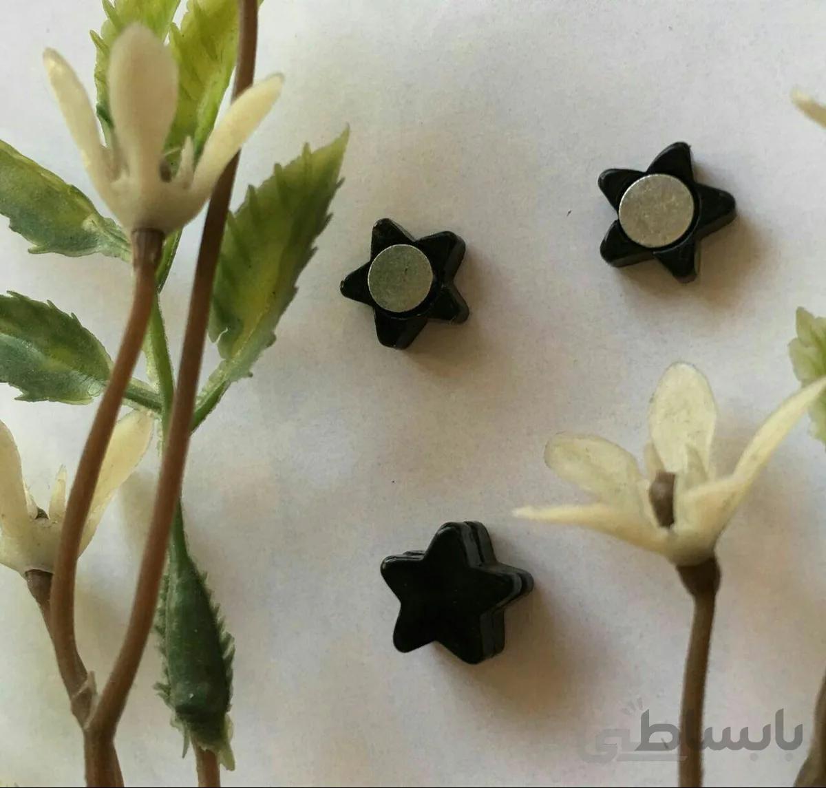 پیرسینگ جفتی اهن ربایی یا مغناطیسی طرح ستاره