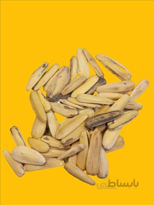 تخمه سناتوری 1کیلو