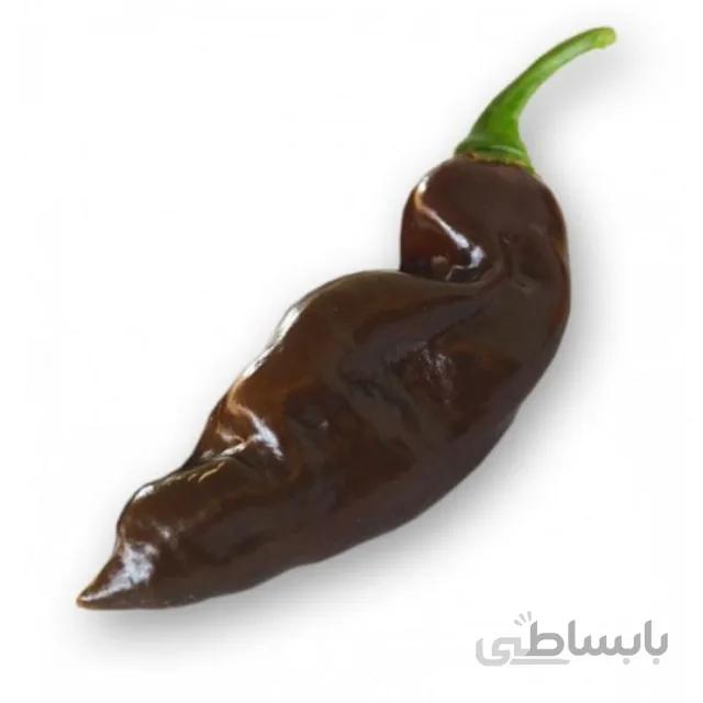 بذر فلفل پاپریکا شکلاتی بسته ۱۵ عددی