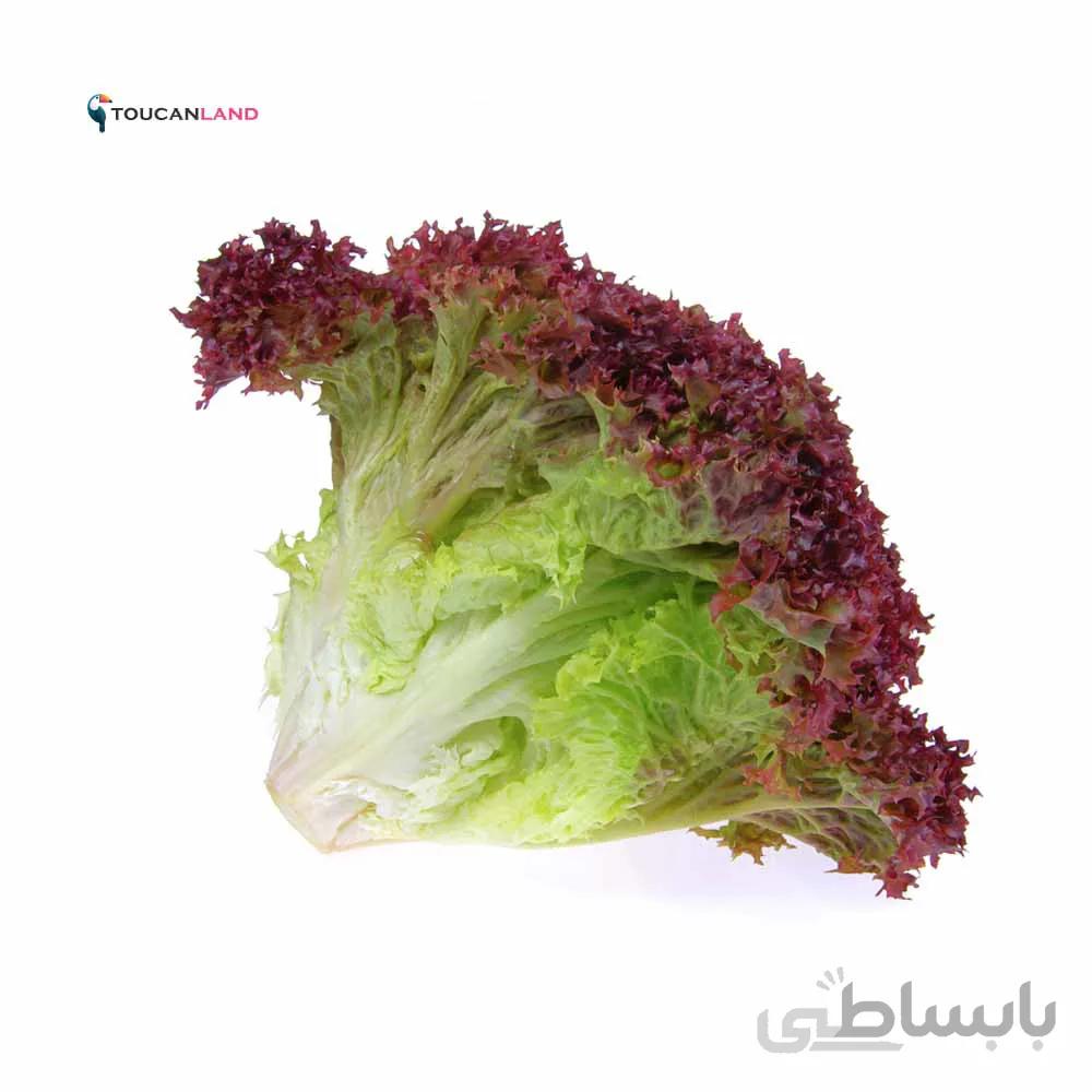 بذر کاهو فرانسوی قرمز
