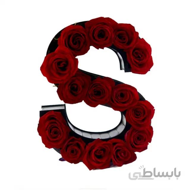 باکس گل حروف S