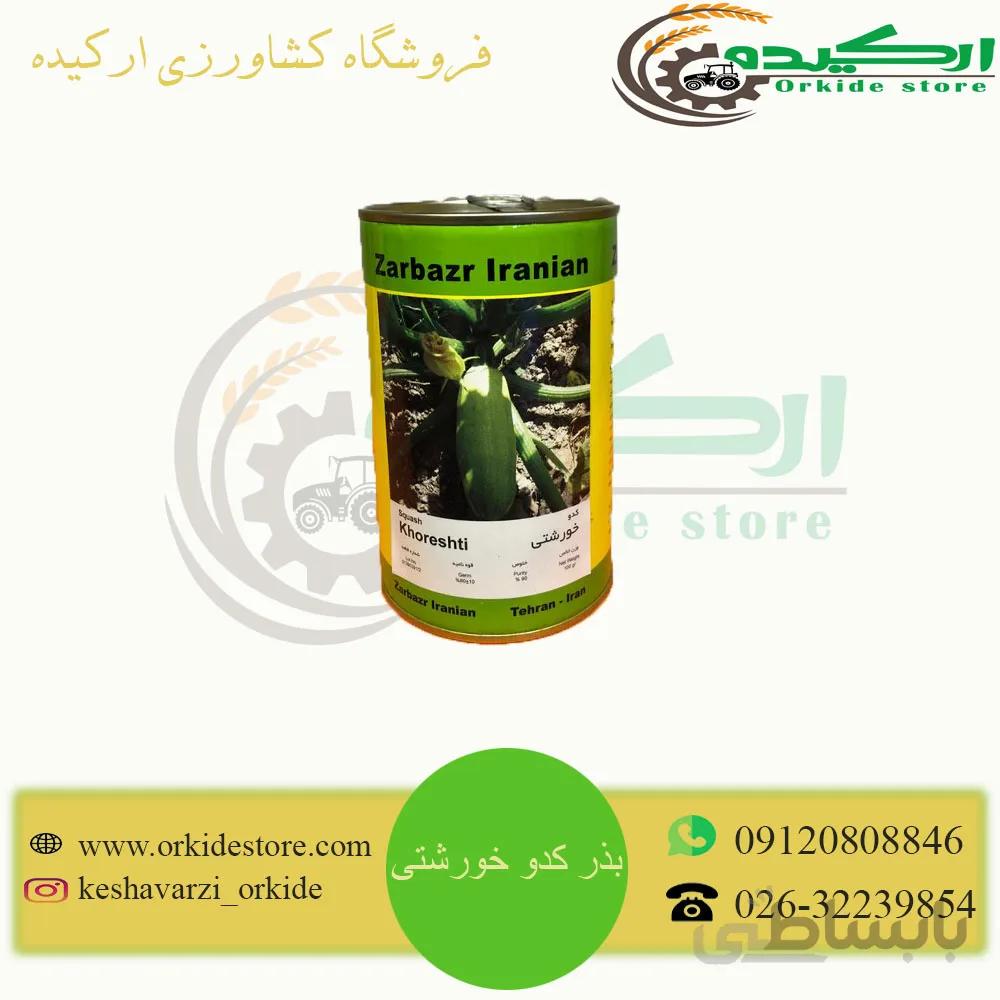 بذر کدو