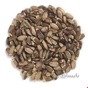 تخم ( بذر ) خار مریم