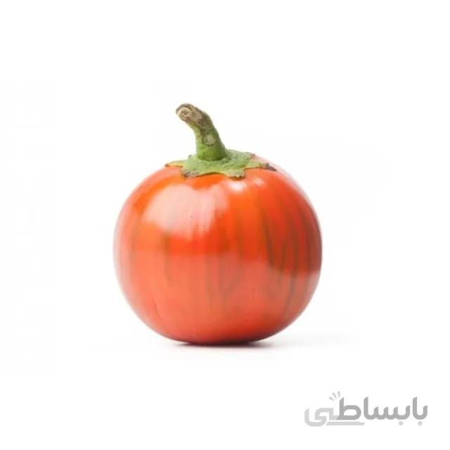 بذر بادمجان نارنجی مینیاتوری بسته ۵۰ عددی