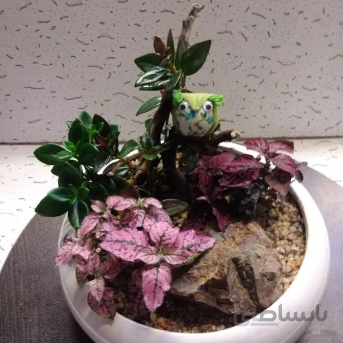 پکیج هدیه گروتِ عاشق ۱