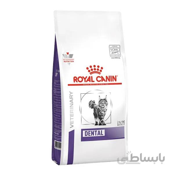 غذای خشک گربه مدل دنتال رویال کنین _ Royal Canin Dental