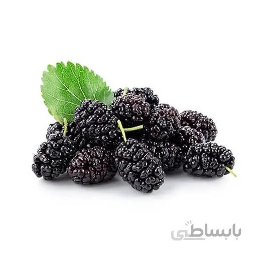 بذر شاه توت
