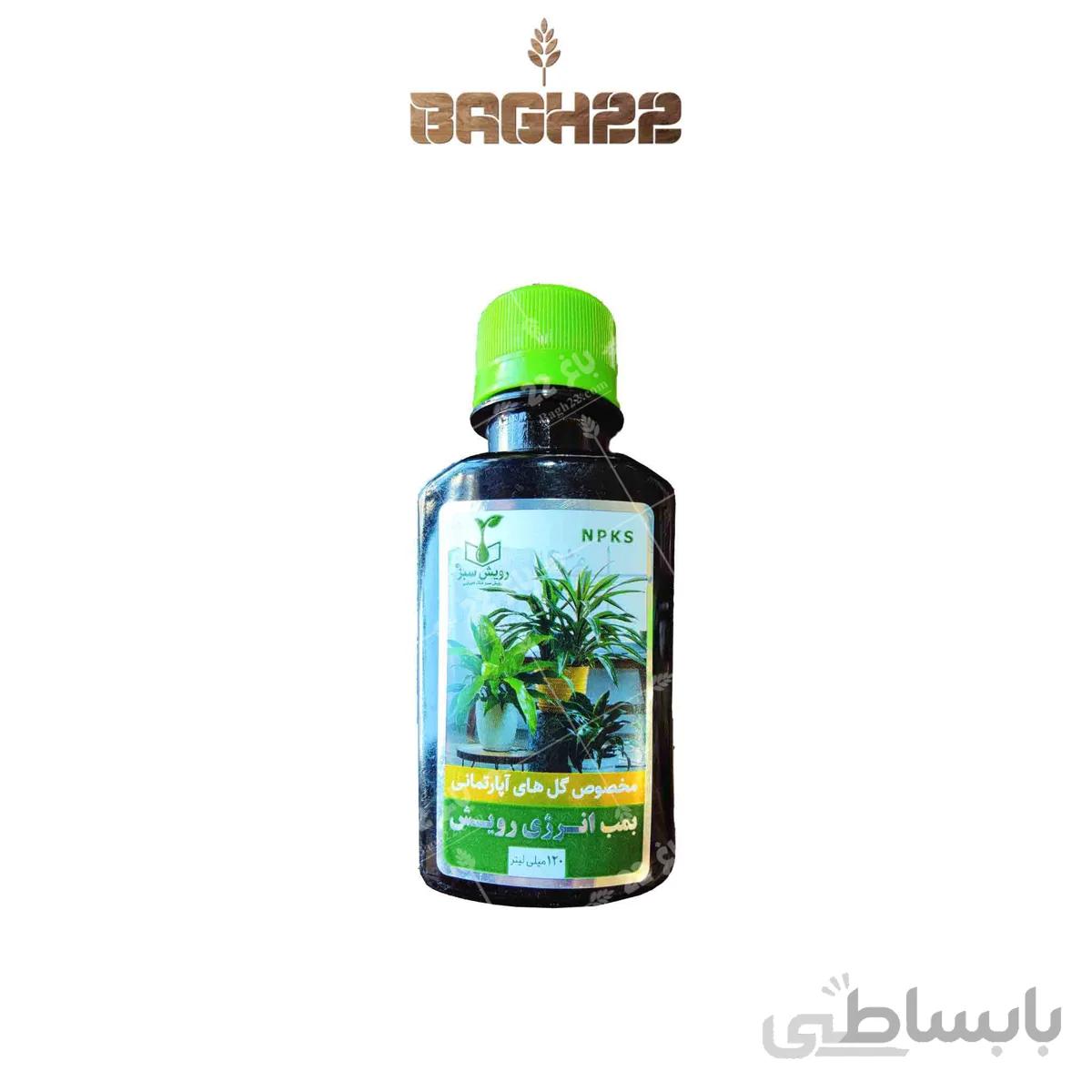 بمب انرژی رویش 120 سی سی