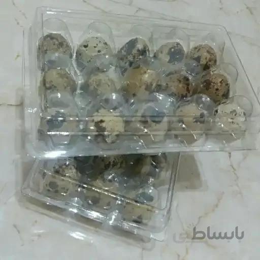 ظرف بسته بندی تخم بلدرچین(مدل هایپرمارکتی)