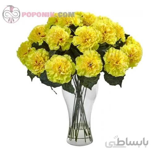 بذر گل میخک زرد
