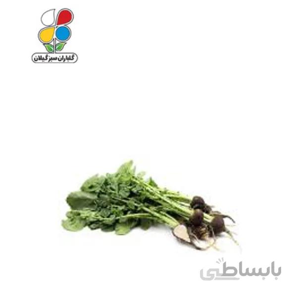 بذر ترب سیاه بسته بندی بزرگ مدل GPSV7L