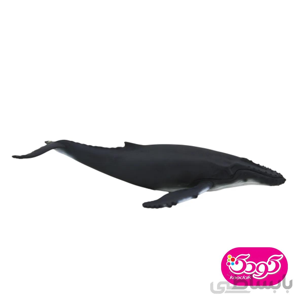 نهنگ 387119 – حیوانات موجو