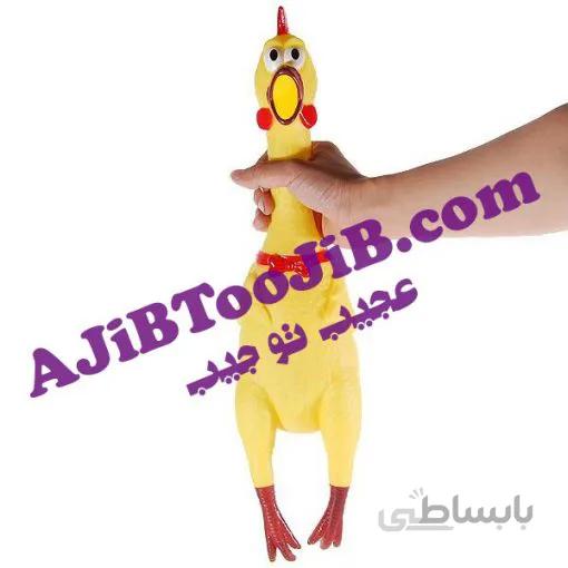 مرغ جیغ کش