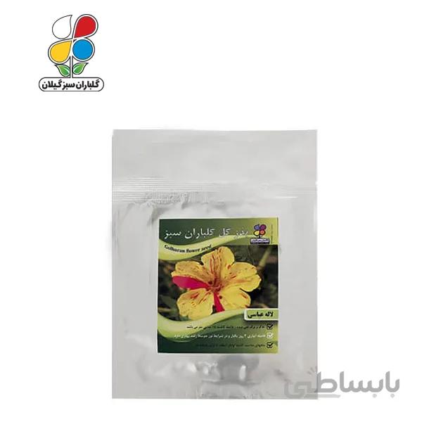 ( بسته 20 عددی ) بذر گل لاله عباسی بسته بندی کوچک