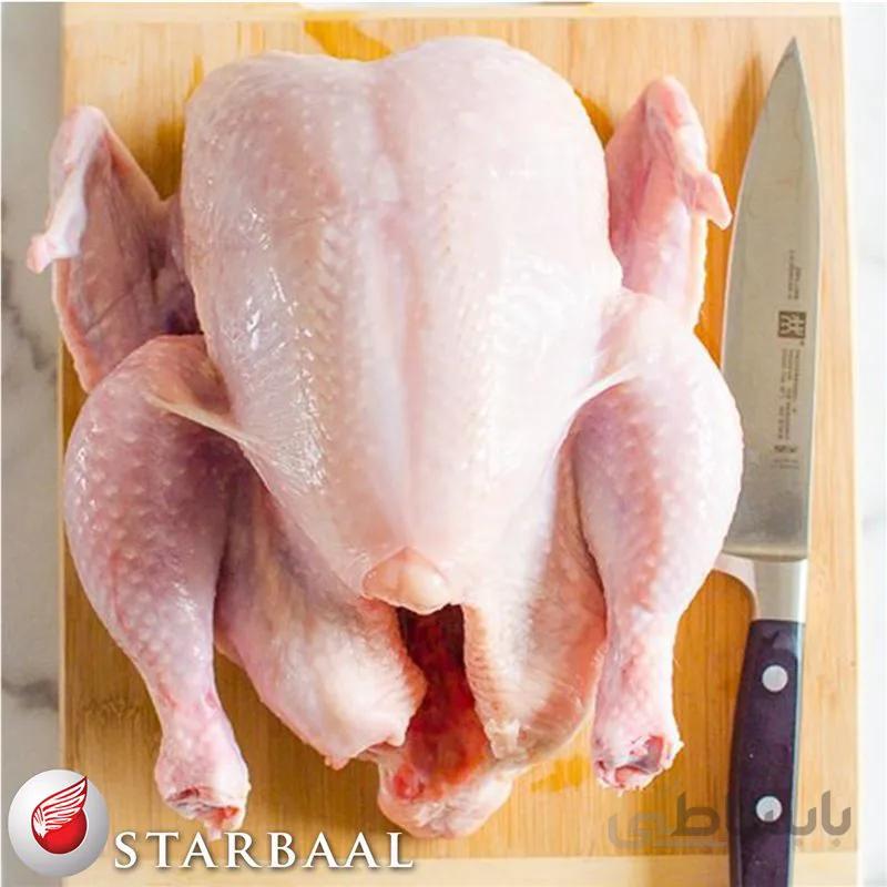 اکبرجوجه ا وزن تقریبی هر عدد اکبر جوجه بین 800 گرم الی 1200 گرم