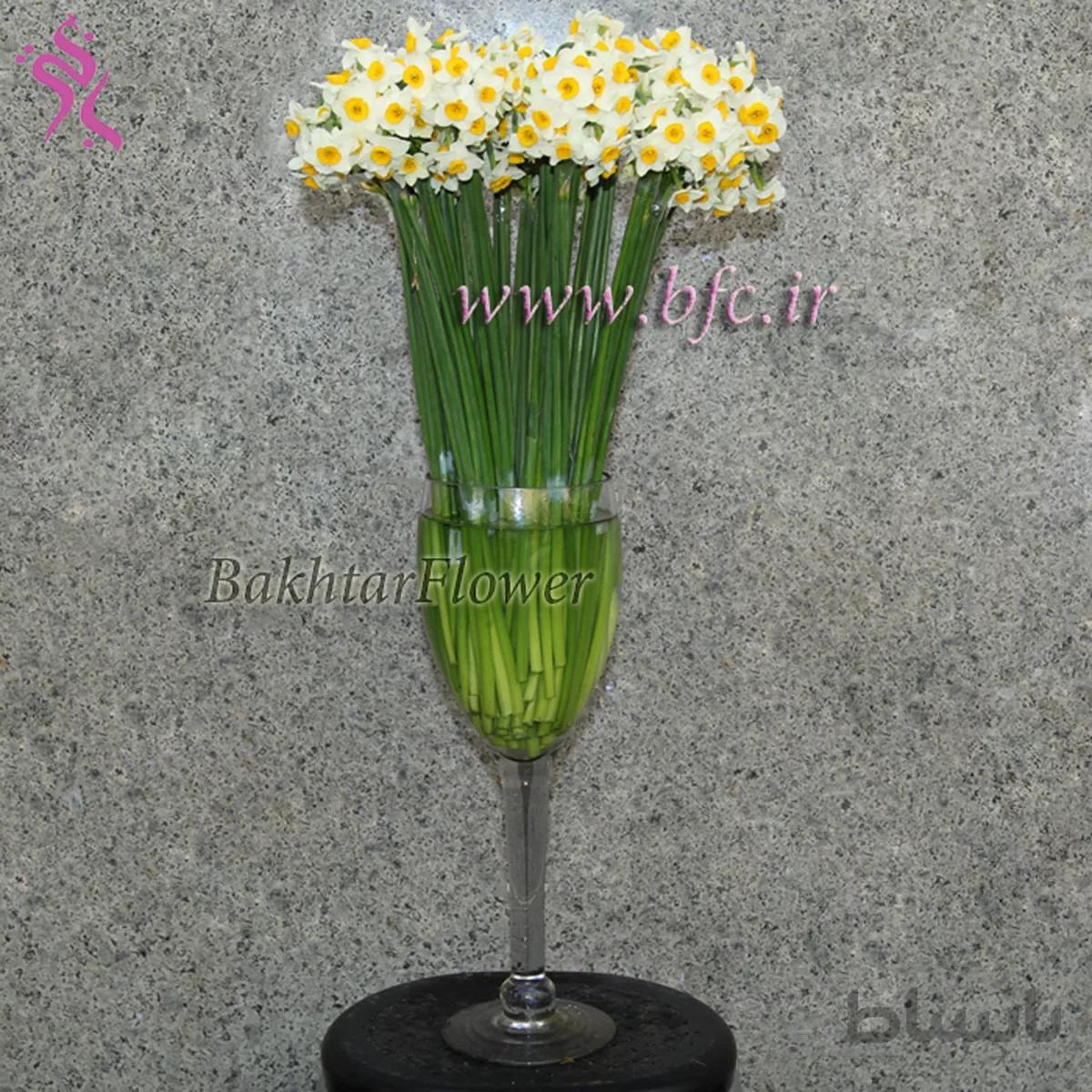 جام نرگس