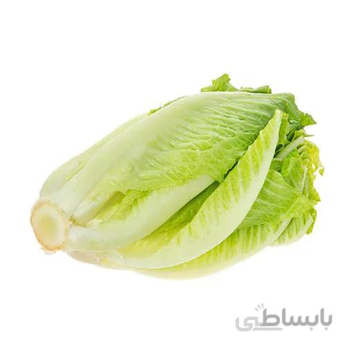 بذر کاهو رسمی