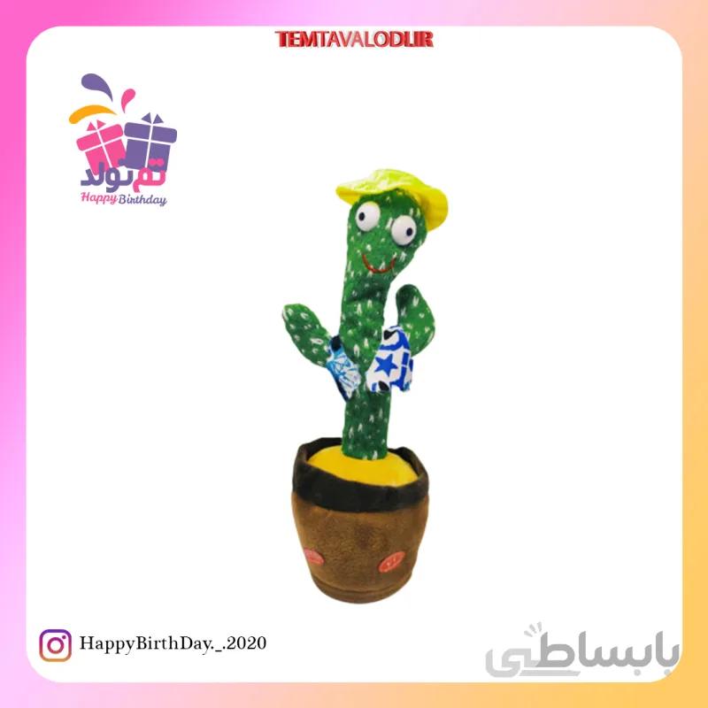 کاکتوس رقاص کلاه زرد