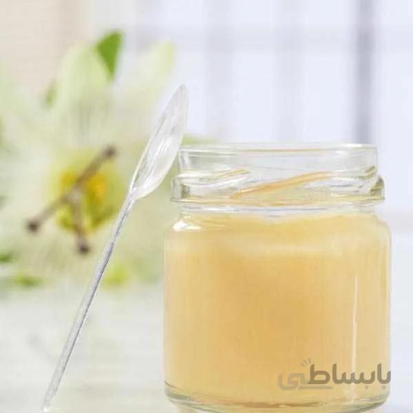 ژل رویال ۲۵ گرمی ا Royal Jelly