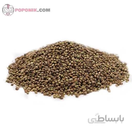 شاهدانه ریز