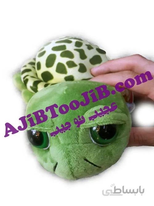 لاک پشت کوچک بی نوا