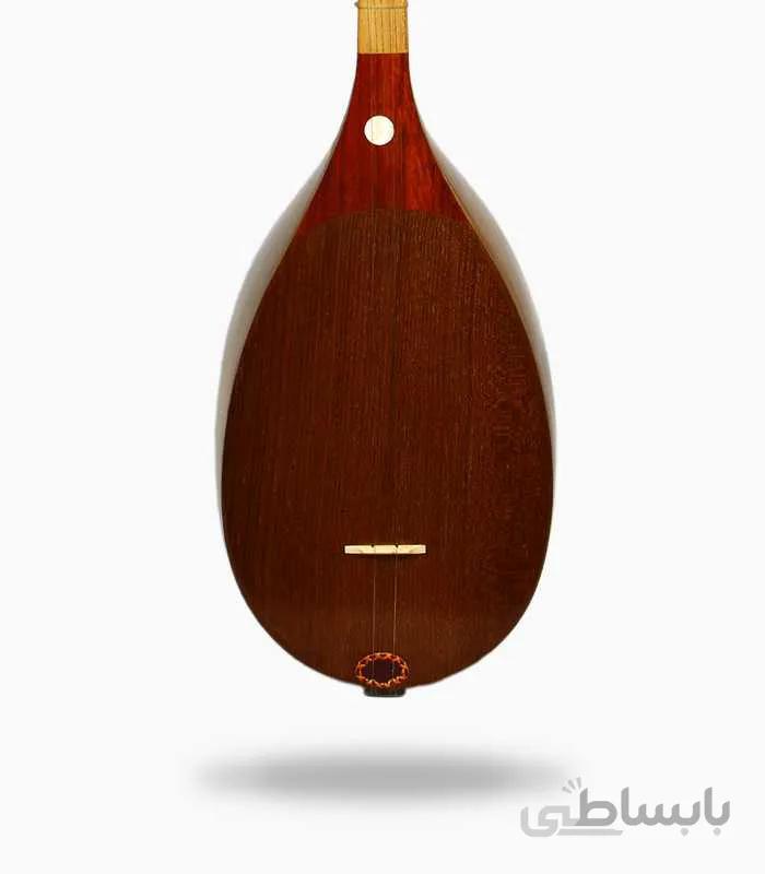 دو تار معاصر گودرزی