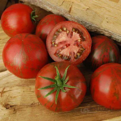 بذر گوجه فرنگی صورتی شرابی Pink Boar آمریکایی بسته 15 عددی