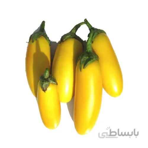 بذر بادمجان زرد قلمی