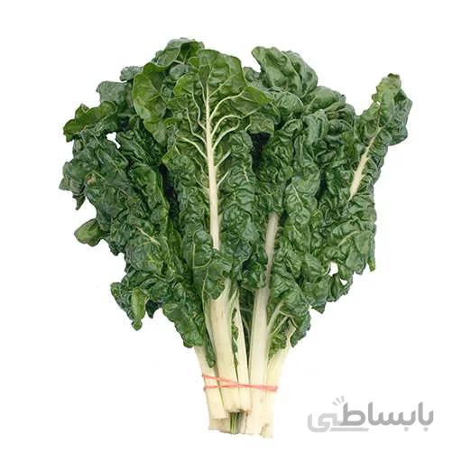 بذر سوییس چارد سفید