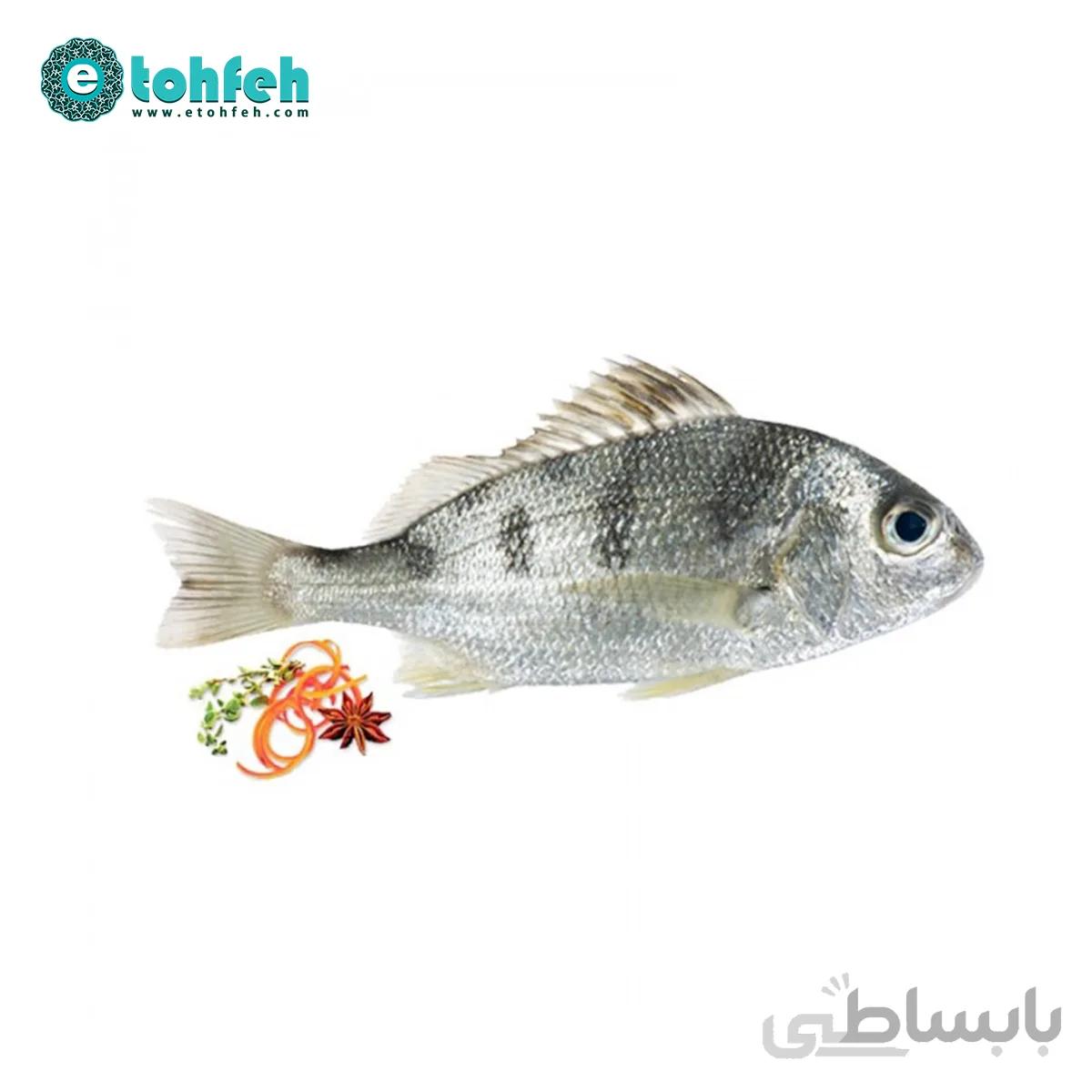 ماهی سنگسر