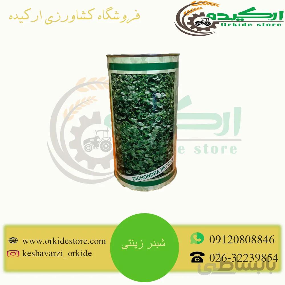 دایکوندرا