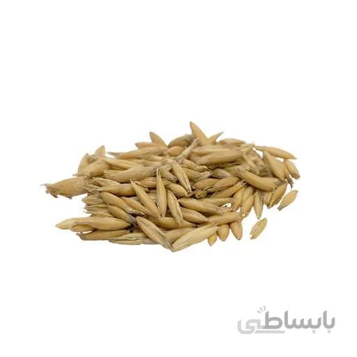 بذر جو دوسر وحشی