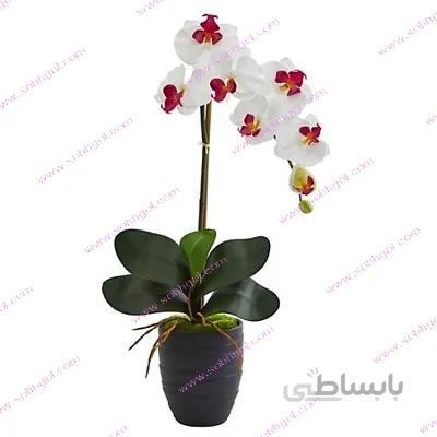 گل ارکیده تک شاخه ORK05
