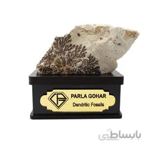 سنگ شجر فسیلی (دندریتی ) کد 2206 ا قیمت به شرط خرید تیمی