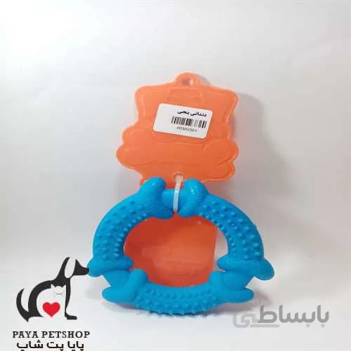 دندانی سگ بنجی