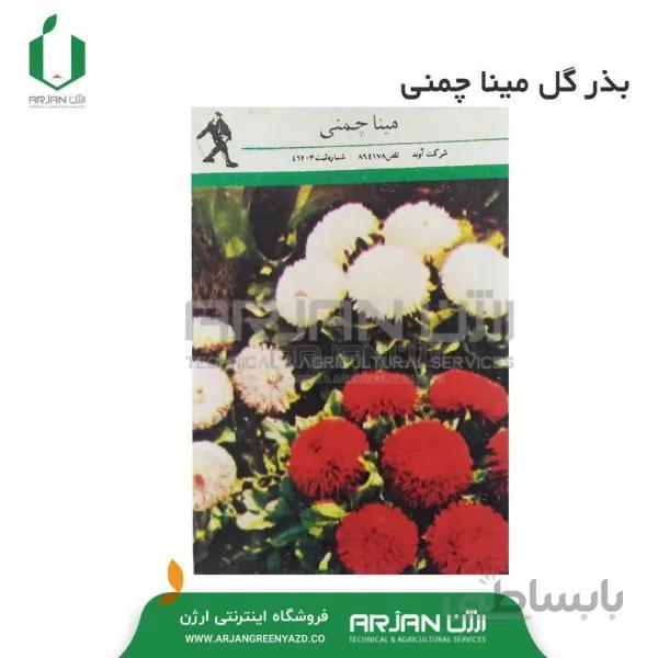 بذر گل مینا چمنی