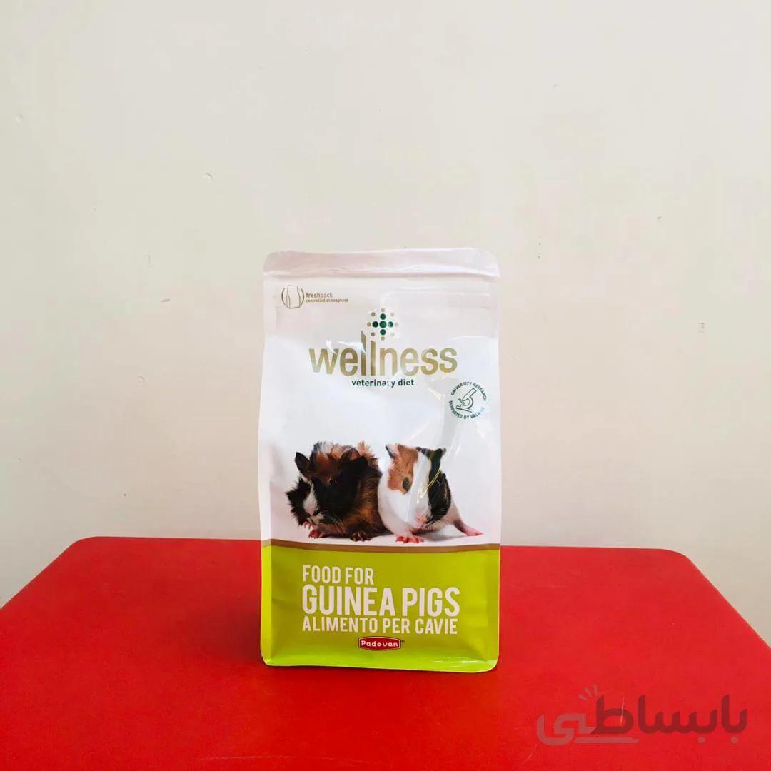 غذای کامل خوکچه هندی برند Wellness