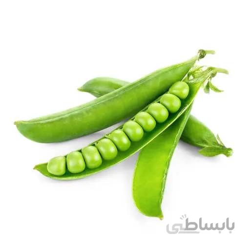 بذر نخود فرنگی هلندی