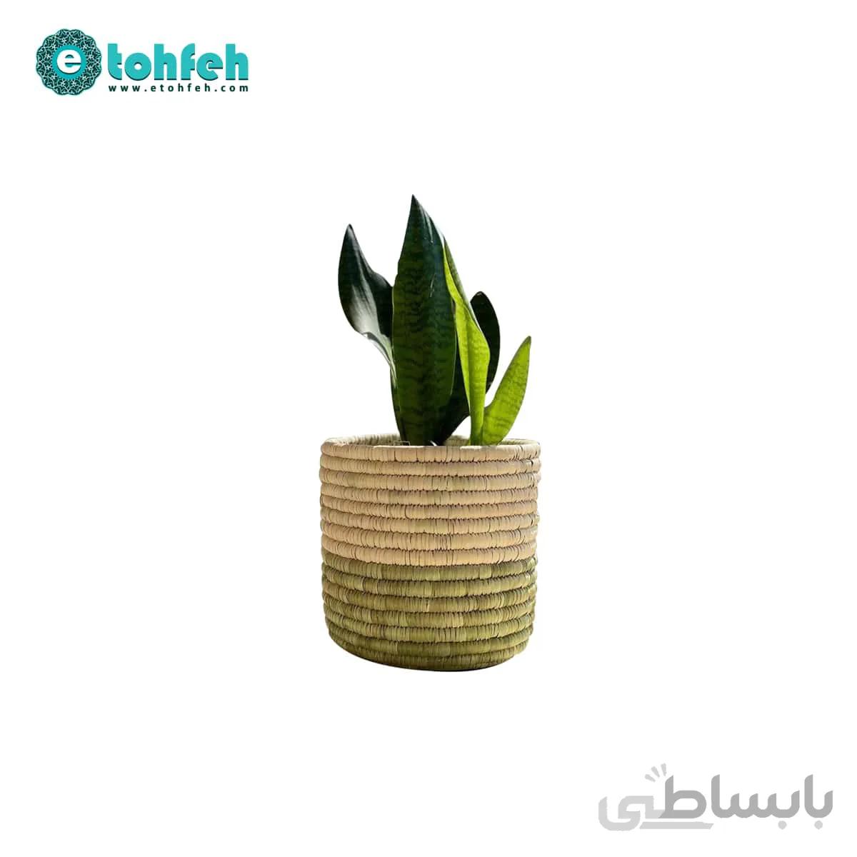 گلدان حصیری بدون دسته