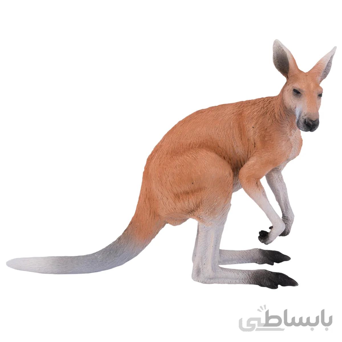 کانگورو نر (Kangaroo Male)